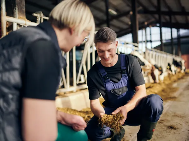 Beratung Rinder Futtertisch
