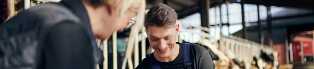 Beratung Rinder Futtertisch