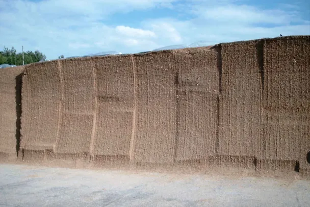 Silos z kukurydzy Silos z kukurydzy