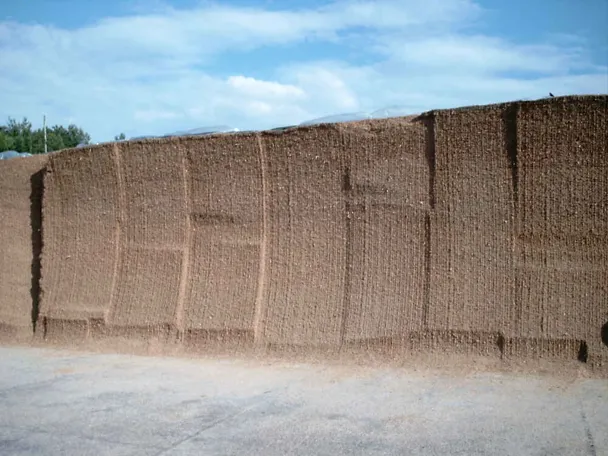 Silos z kukurydzy