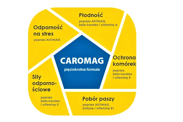 CAROMAG dla krów mlecznych CAROMAG dla krów mlecznych