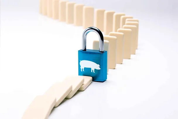 SCHAUMACID- kwasy paszowe SCHAUMACID- kwasy paszowe