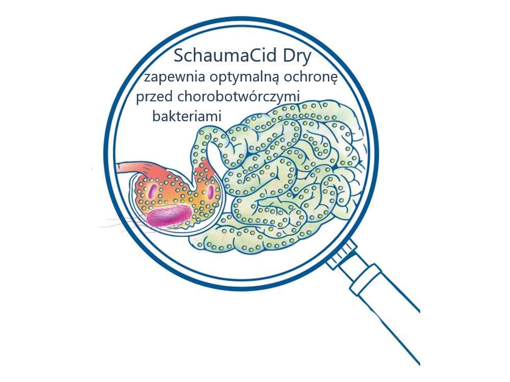Działanie SCHAUMACID DRY w jelicie
